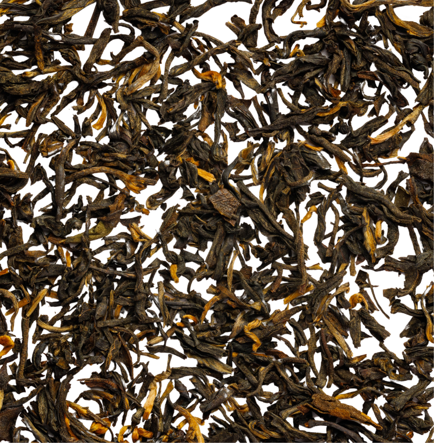 Black Tea