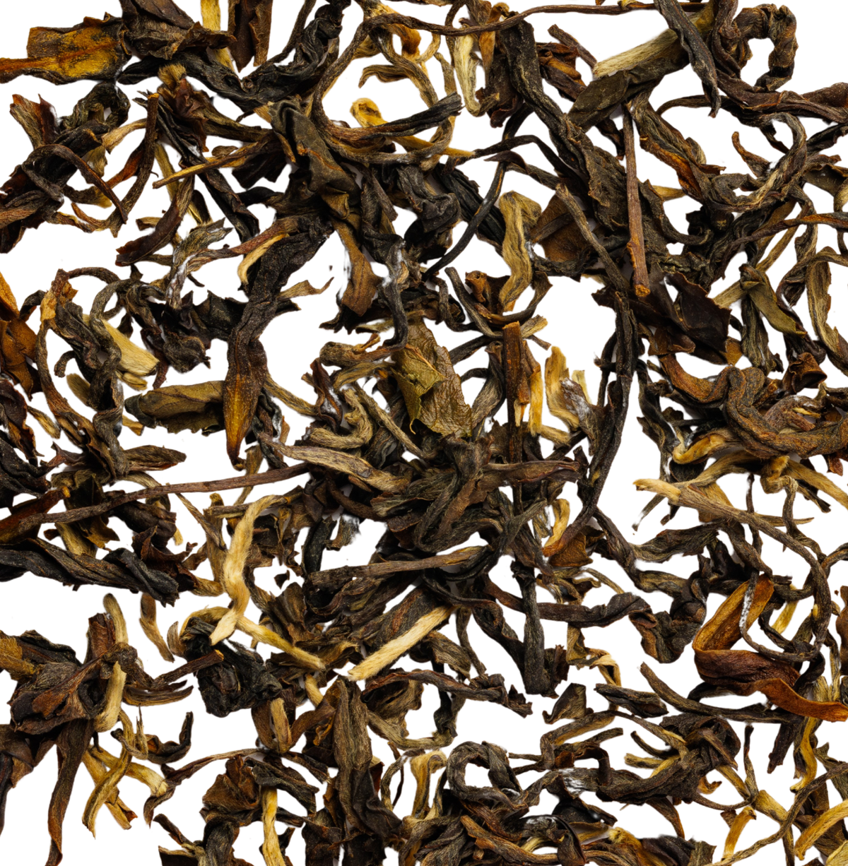 Oolong Tea