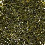 Sencha