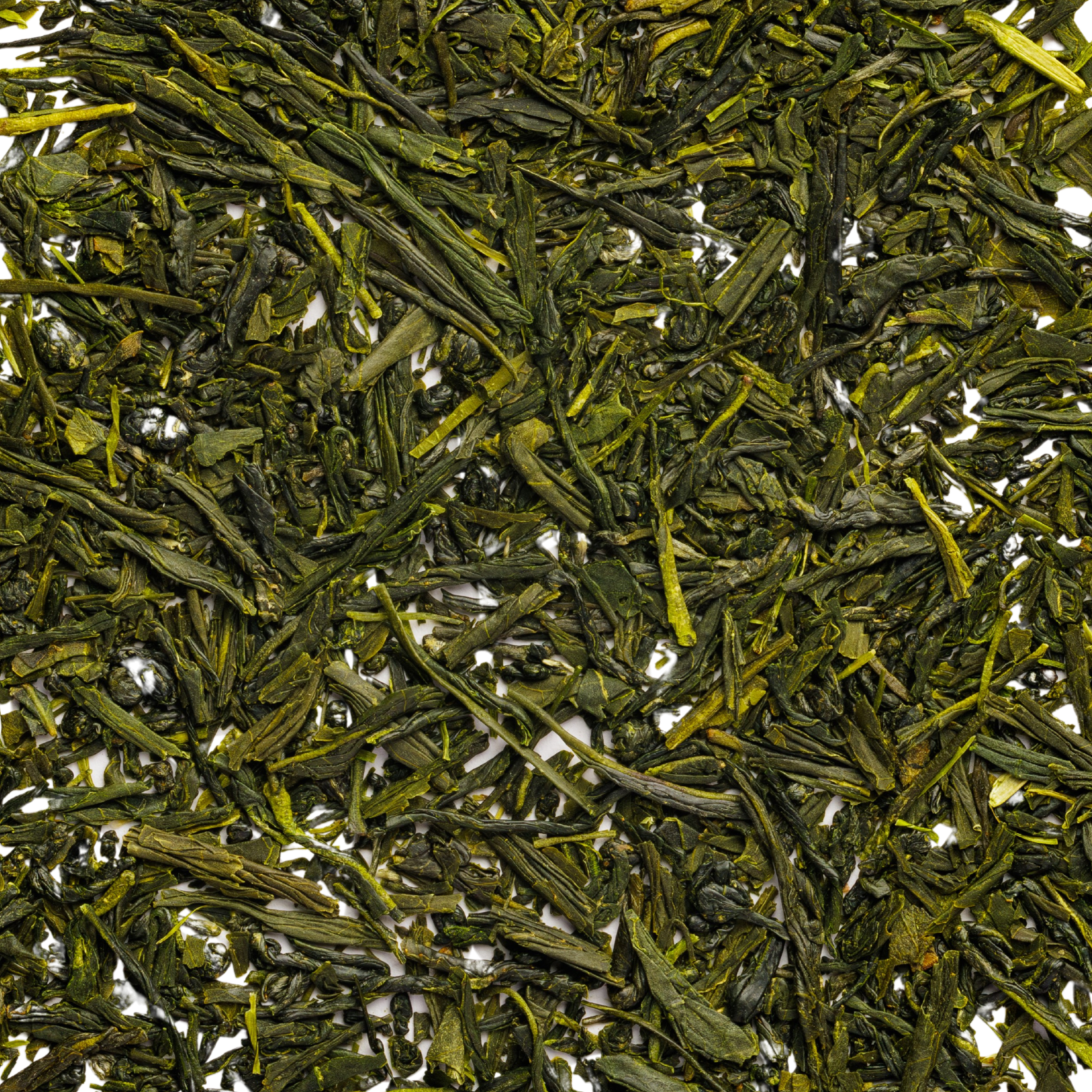 Sencha