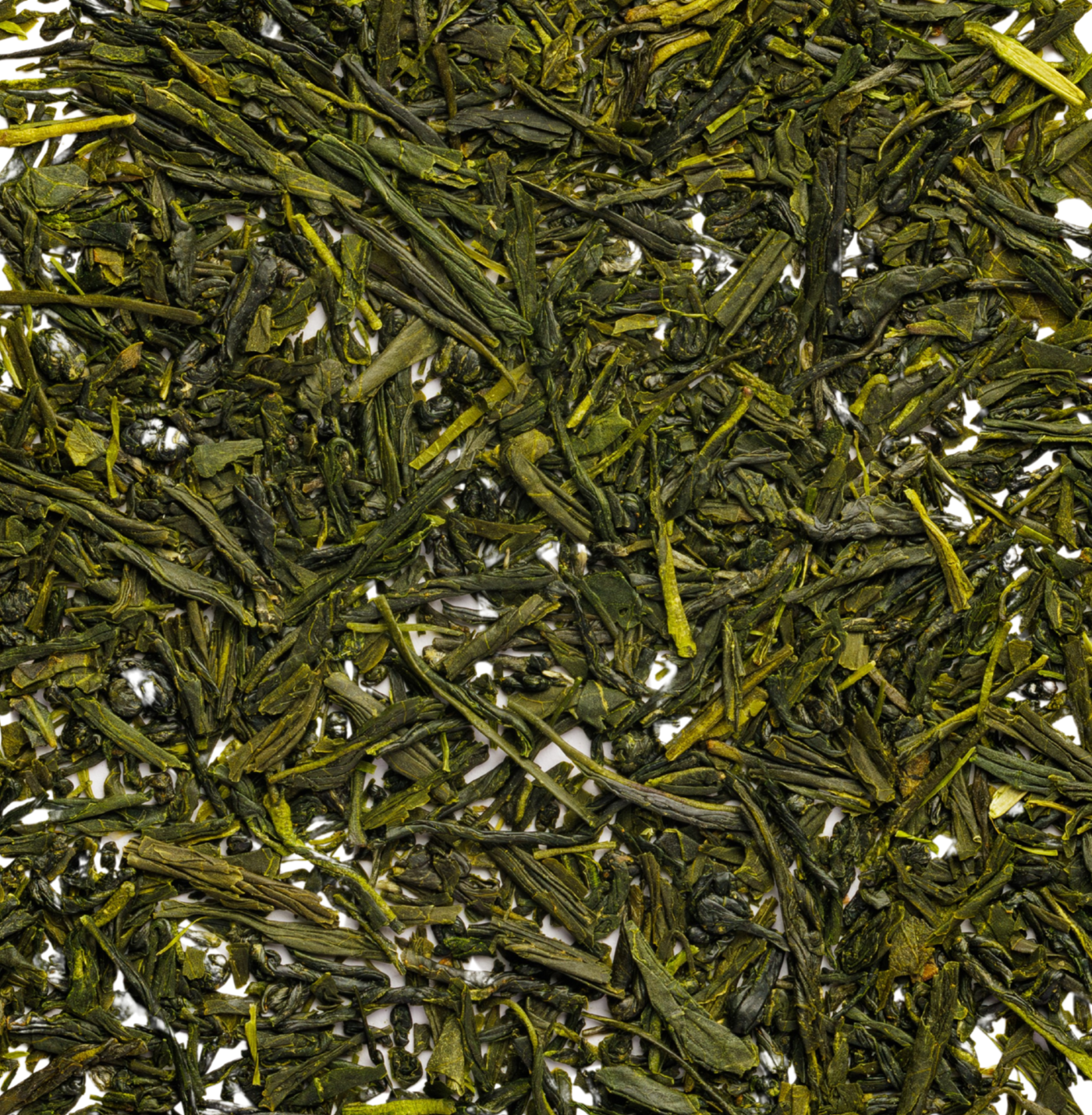 Sencha