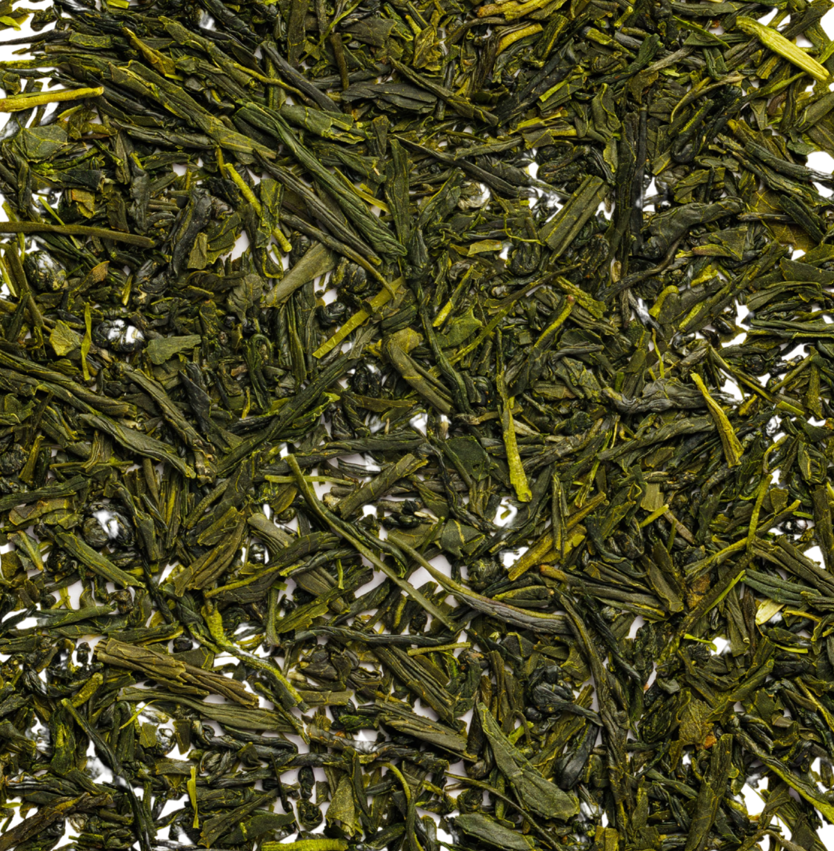 Sencha