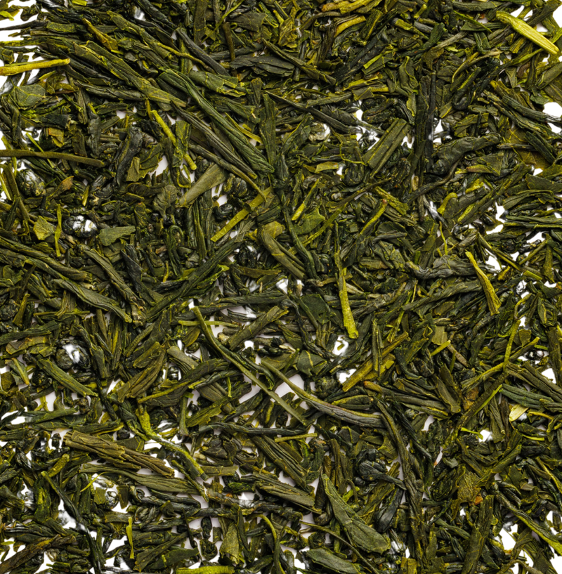 Sencha