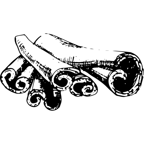 Extra Image 1
