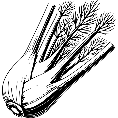 Extra Image 2