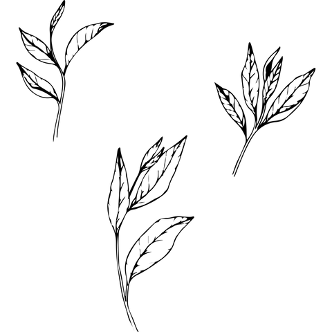 Extra Image 2