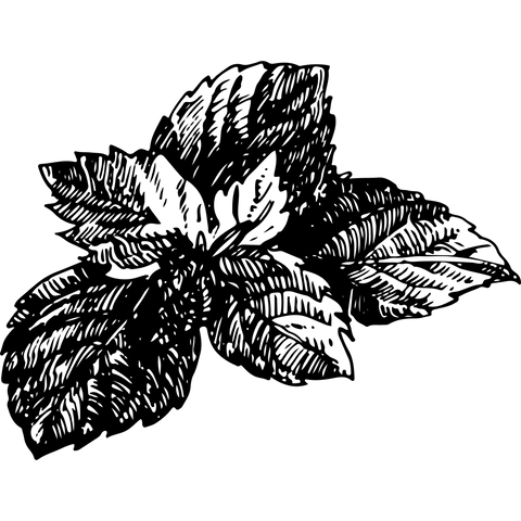 Extra Image 5