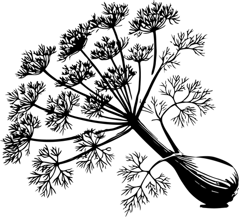 Extra Image 2