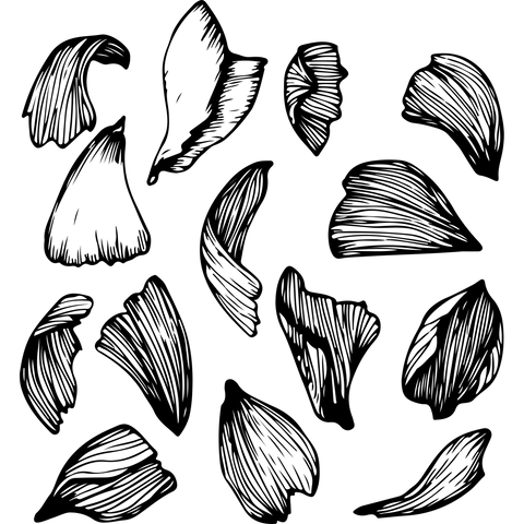Extra Image 7