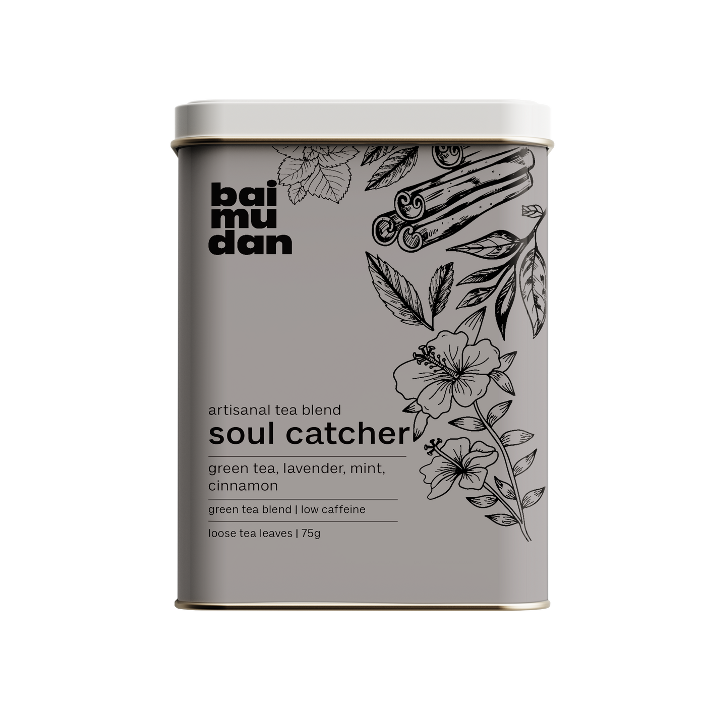 Soul Catcher