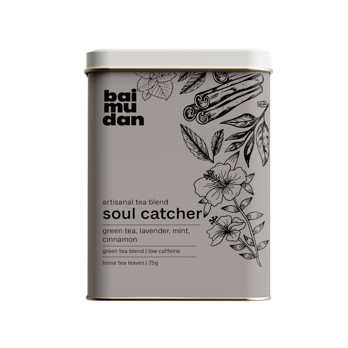 Soul Catcher