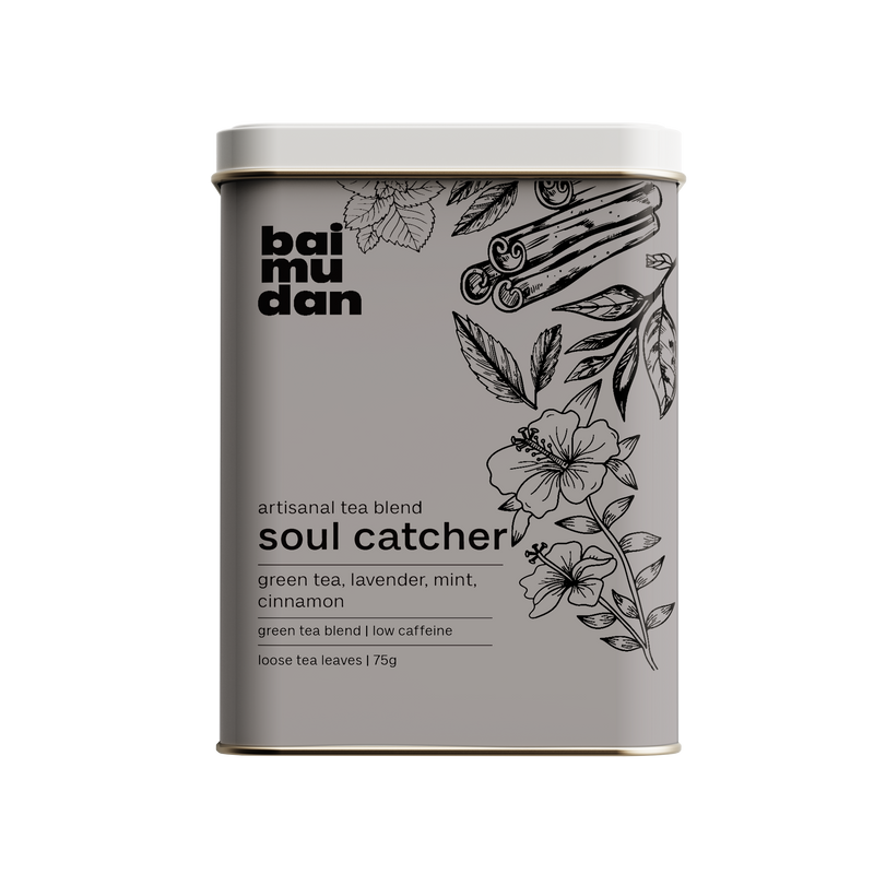 Soul Catcher